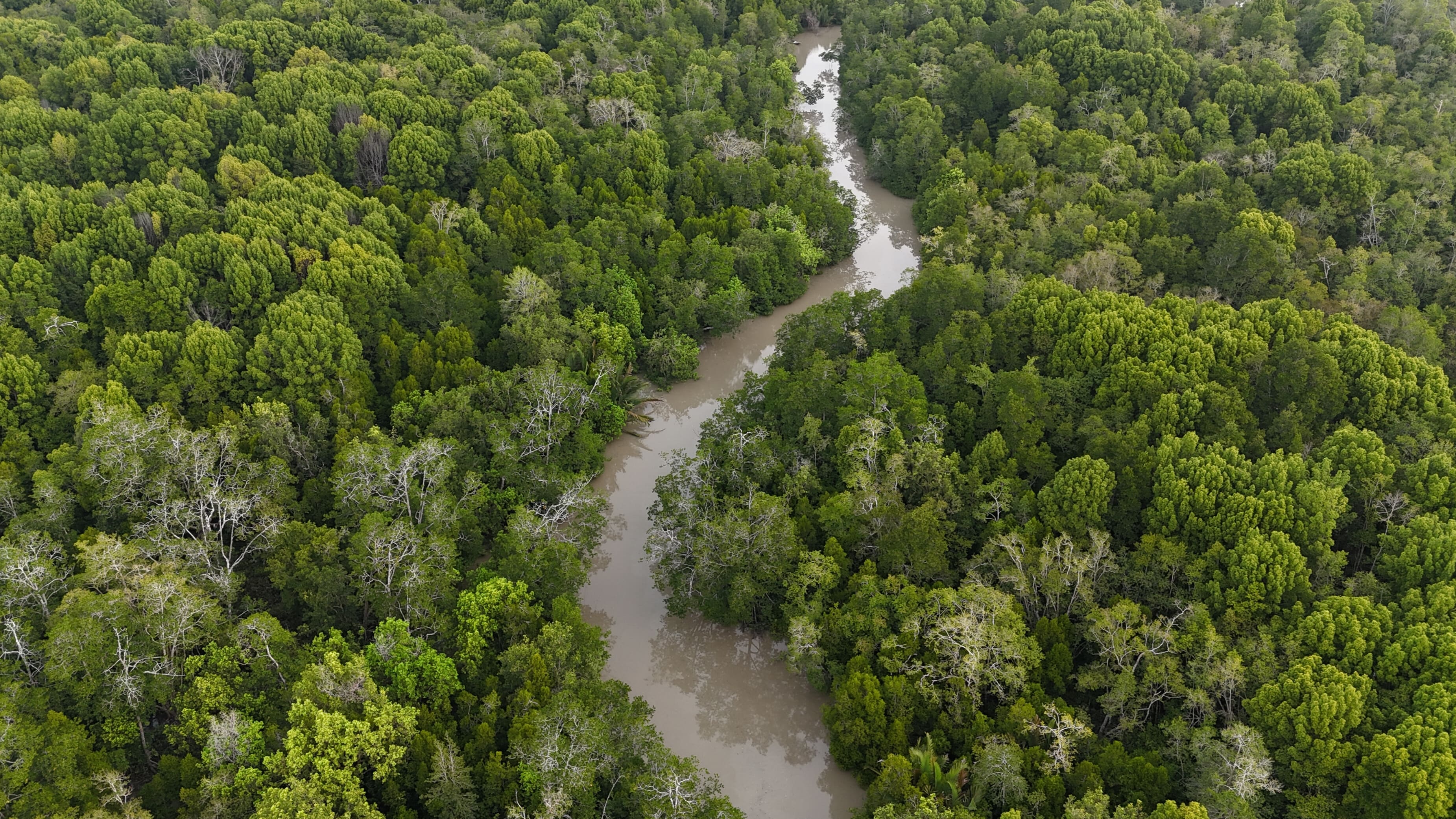 Nature50